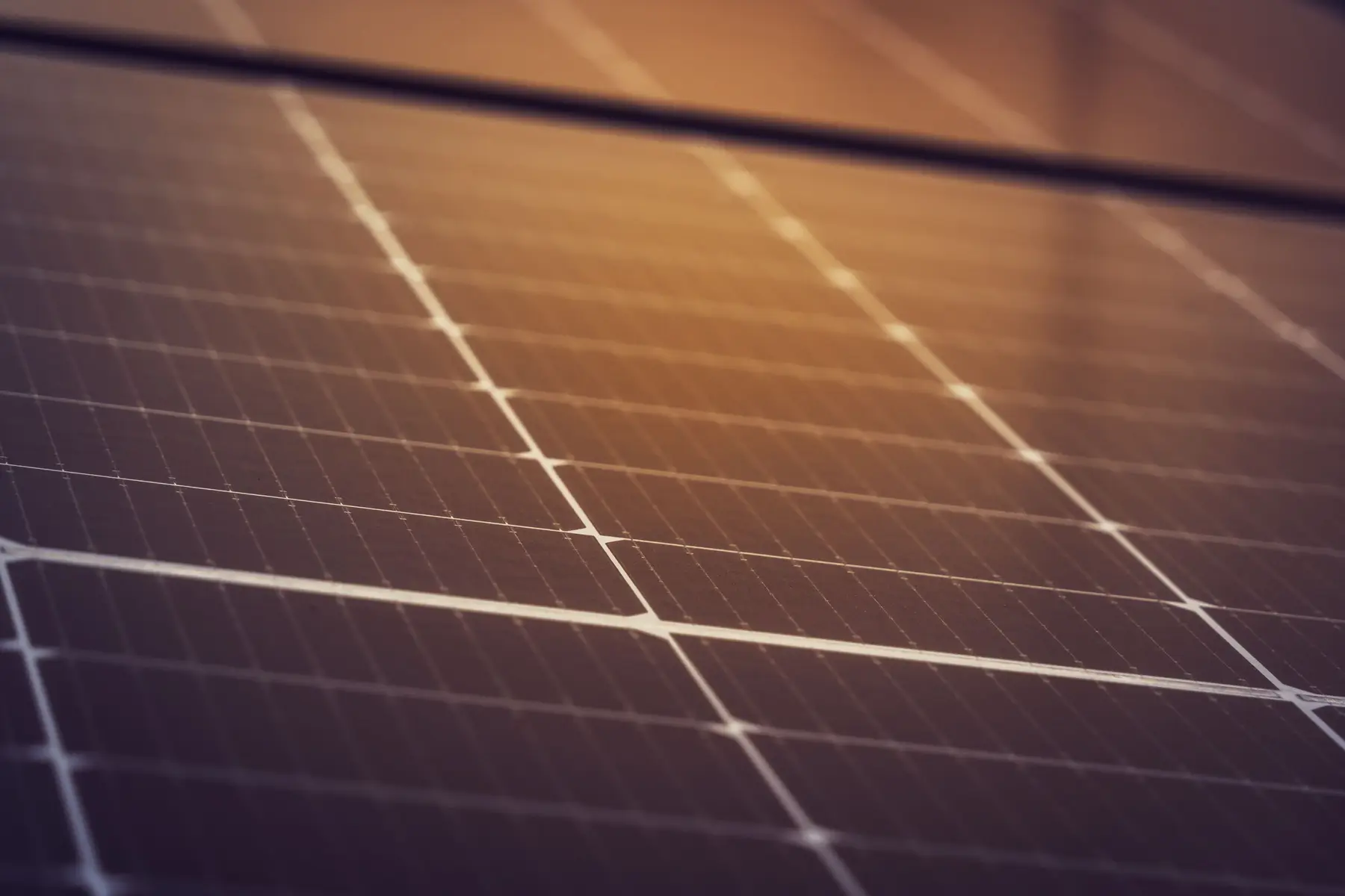 Nahaufnahme dunkler Solarmodule im warmen Abendlicht