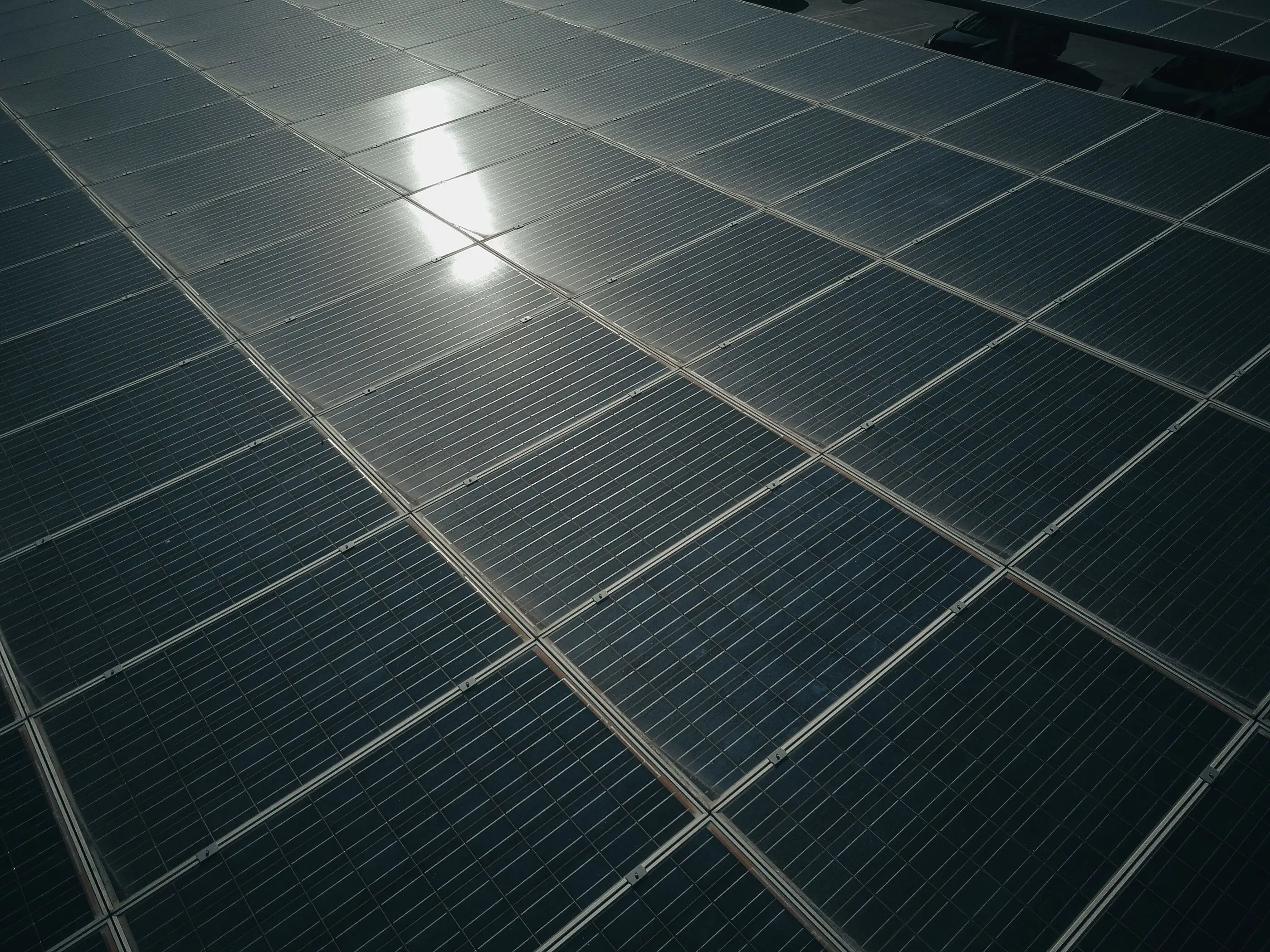 Großes Feld dunkler Solarmodule im Gegenlicht, auf den Modulen spiegelt sich die Sonne