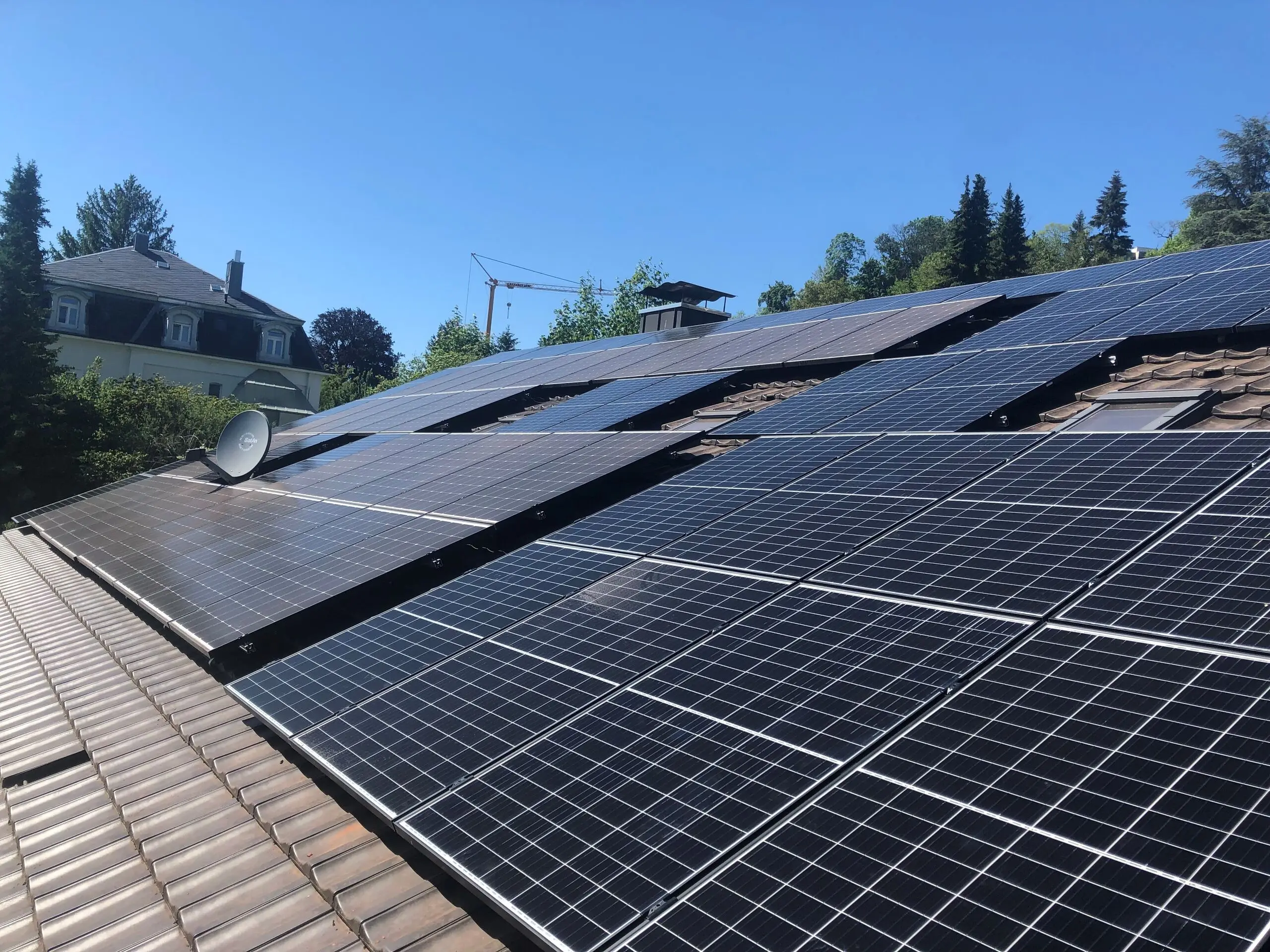 Photovoltaikmodule in mehreren Reihen auf einem Ziegeldach, darüber blauer Himmel und Baumkronen